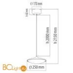 Подвесной светильник De Markt Перегрина 703011201 - Фото 7