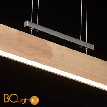 Подвесной светильник De Markt Ральф 675011701 - Фото 1