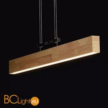 Подвесной светильник De Markt Ральф 675011701