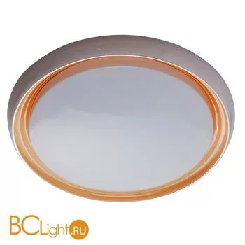 Потолочный светильник De Markt Ривз 674011801