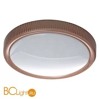 Потолочный светильник De Markt Ривз 674013801