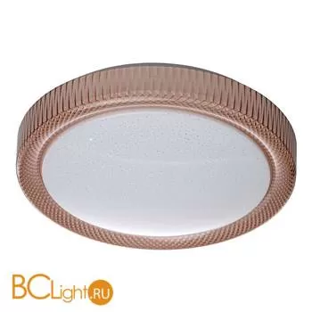 Потолочный светильник De Markt Ривз 674014001