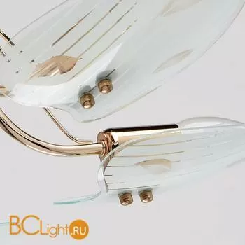 Потолочная люстра De Markt Сабрина 336012605 - Фото 3