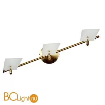 Спот (точечный светильник) De Markt Спарта 337020303