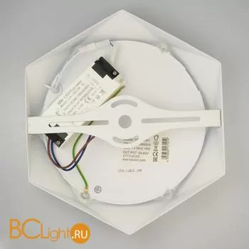 Спот (точечный светильник) De Markt Стаут 702011201 - Фото 1