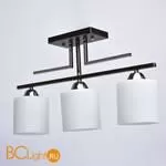 Потолочный светильник De Markt Тетро 673010803 - Фото 0