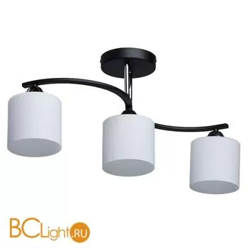 Потолочный светильник De Markt Тетро 673011203