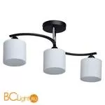 Потолочный светильник De Markt Тетро 673011203