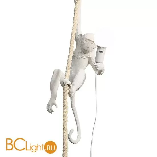 Подвесной светильник DeLight Collection Monkey 9133P white