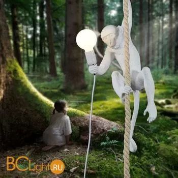 Подвесной светильник DeLight Collection Monkey 9133P white - Фото 1