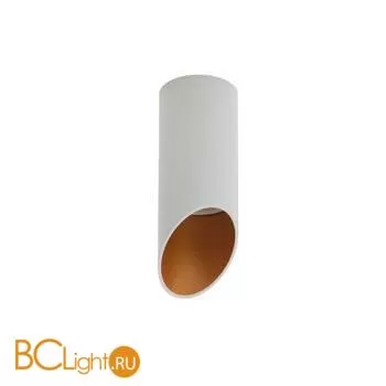 Спот Denkirs DK2011-WH