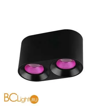 Спот Denkirs DK3096-BK+PI