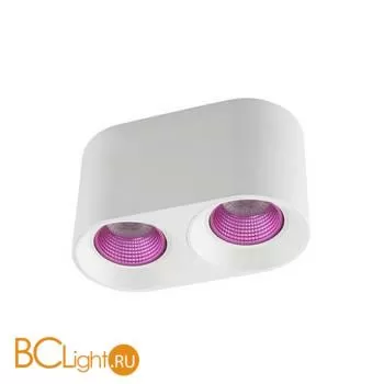 Спот Denkirs DK3096-WH+PI