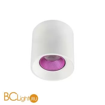 Спот Denkirs DK3090-WH+PI