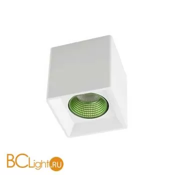 Спот Denkirs DK3080-WH+GR