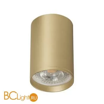 Спот Denkirs DK2050-SG