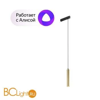 Трековый светильник Denkirs DK8008-BG