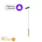 Трековый светильник Denkirs DK8008-BG