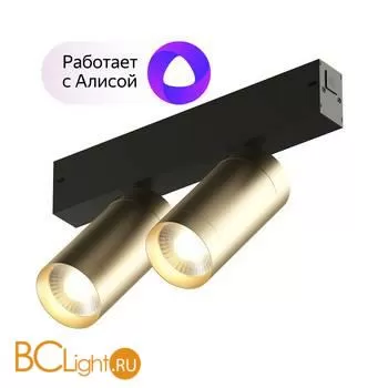 Трековый светильник Denkirs DK8012-BG