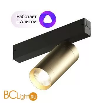 Трековый светильник Denkirs DK8020-BG