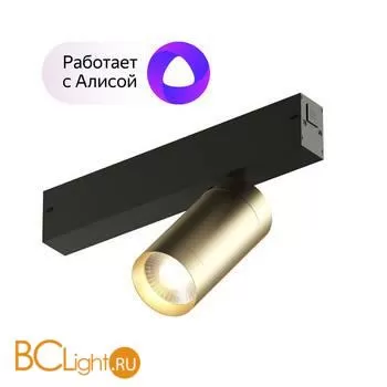 Трековый светильник Denkirs DK8010-BG