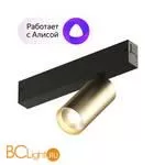 Трековый светильник Denkirs DK8010-BG