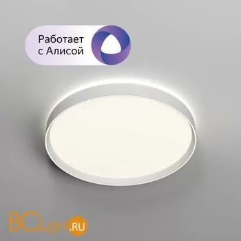 Потолочный светильник Denkirs DK6510-WH