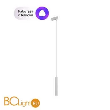 Трековый светильник Denkirs DENKIRS SMART DK8008-WH