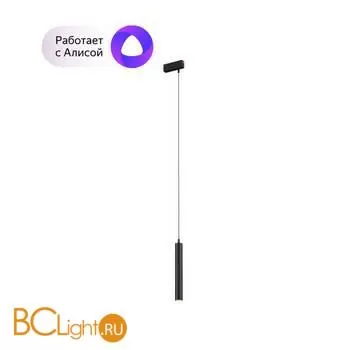 Трековый светильник Denkirs DK8000 DK8008-BK