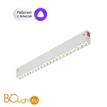 Трековый светильник Denkirs DK8002-WH