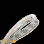 Светодиодная лента DesignLed 003350 14.4Вт 24В IP65 2700K 1340 Lm/m DSG560-24-WW-65 - Фото 0