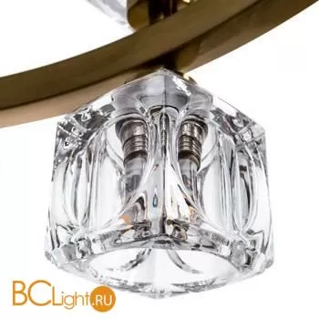 Люстра Divinare Alessandro 7205/17 LM-24 - Фото 2