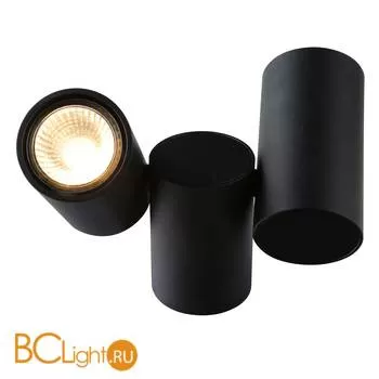 Потолочный светильник Divinare Gavroche 1354/04 PL-2