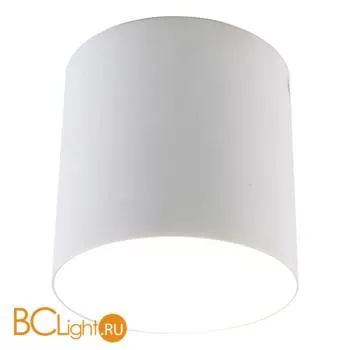 Спот (точечный светильник) Divinare Tubo 1463/03 PL-1