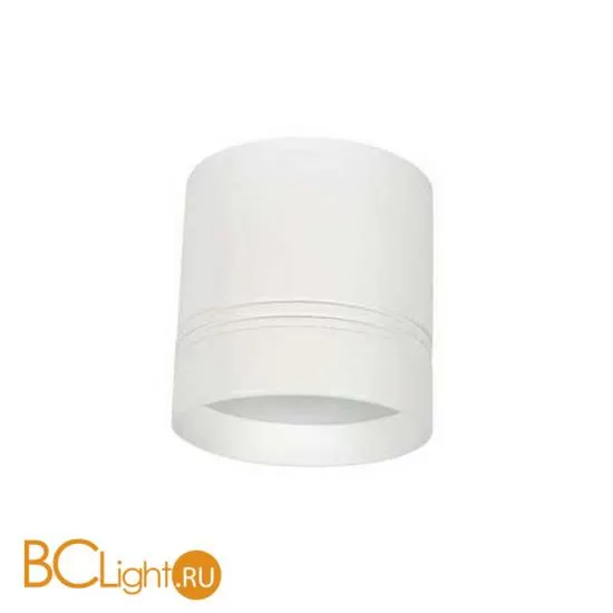 Cпот (точечный светильник) Donolux DL18484/WW-White R