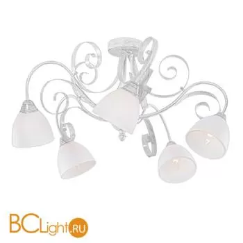 Потолочная люстра Donolux Bianco C110179/5