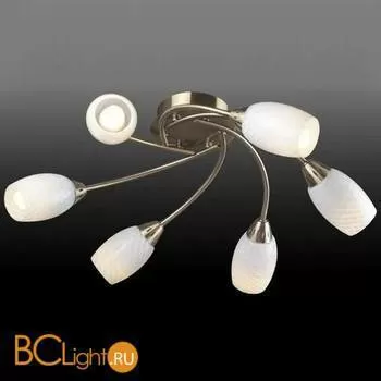 Потолочная люстра Donolux C100002/6AB