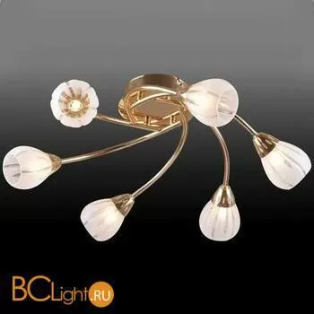 Потолочная люстра Donolux C100002/6FG