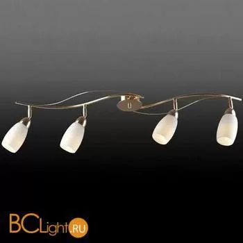 Потолочная люстра Donolux C100005/4FG