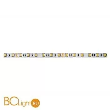 Светодиодная лента Donolux DL-18287/White-24-60 - Фото 0