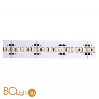 Светодиодные ленты Donolux DL-18331/N.White-24-240