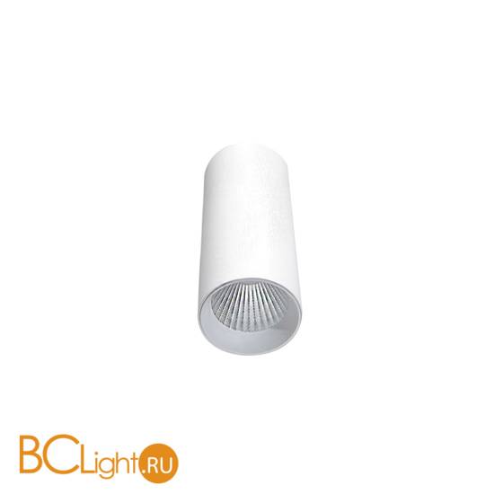 Потолочный светильник Donolux Rollo DL18895R15N1W