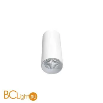 Потолочный светильник Donolux Rollo DL18895R30W1W