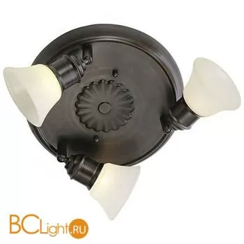 Спот (точечный светильник) Eglo Alamo 89061