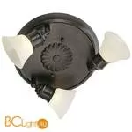 Спот (точечный светильник) Eglo Alamo 89061