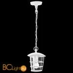 Уличный подвесной светильник Eglo Aloria 93402 - Фото 0