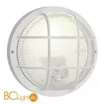 Настенно-потолочный уличный светильник Eglo Anola 88807