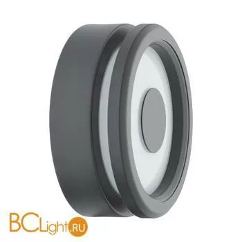 Настенный светильник Eglo Biosga 97148