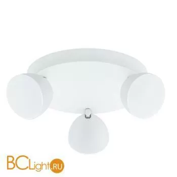 Потолочный светильник Eglo Calvos 96601