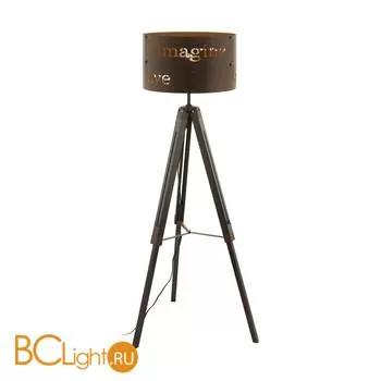 Торшер Eglo Coldingham 49793